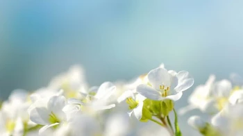 2 мамырға арналған ауа райы болжамы