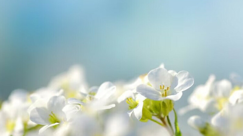 2 мамырға арналған ауа райы болжамы