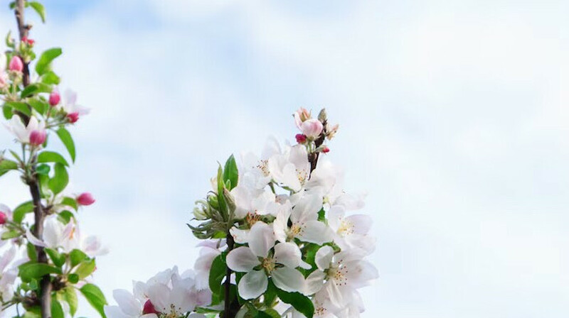 12 мамырға арналған ауа райы болжамы