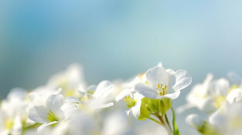 18 мамырға арналған ауа райы болжамы