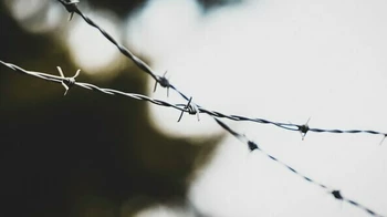 Қайын атасы келінін аса қатігездікпен өлтірді