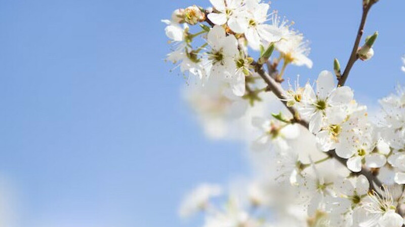 “Үсік жүреді”: 26 мамырға арналған ауа райы болжамы