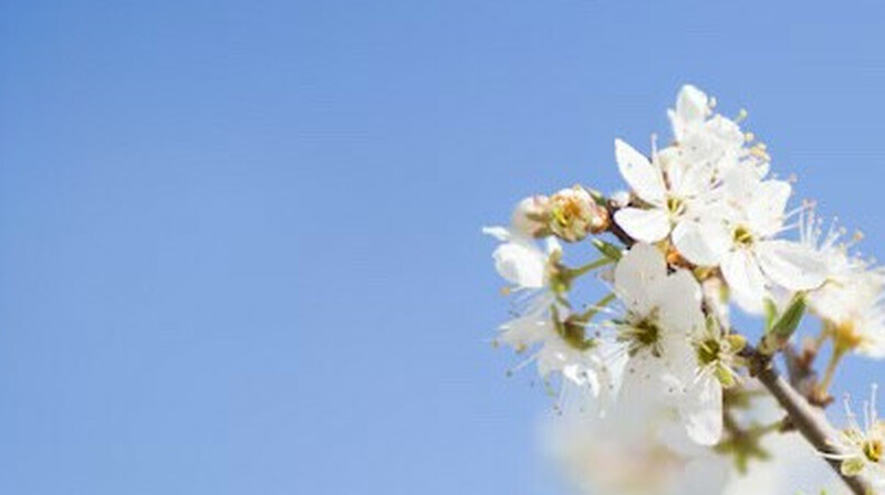 28 мамырға арналған ауа райы болжамы