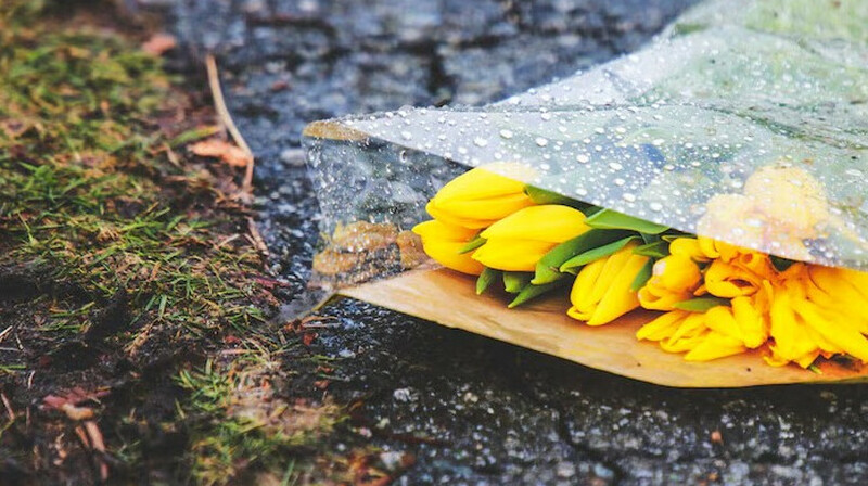 “Найзағай ойнап, жаңбыр жауады”: 6 маусымға арналған ауа райы болжамы