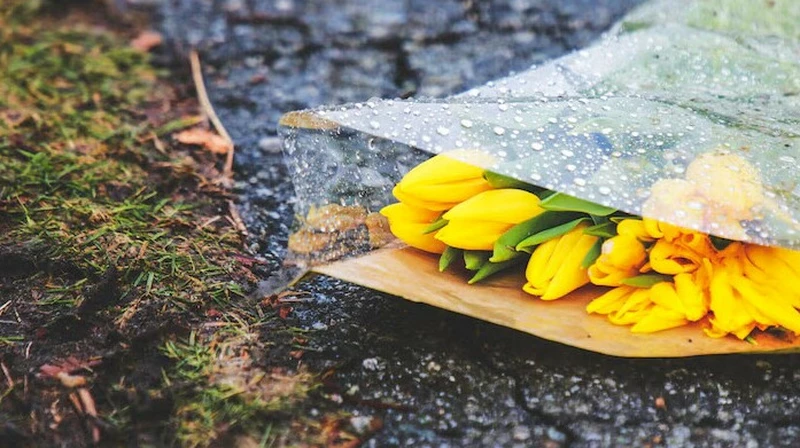 Сейсенбіге арналған ауа райы болжамы