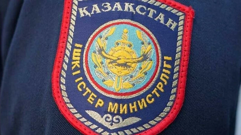 Жамбылдық келін зағип енесіне жантүршігерлік әрекет жасады