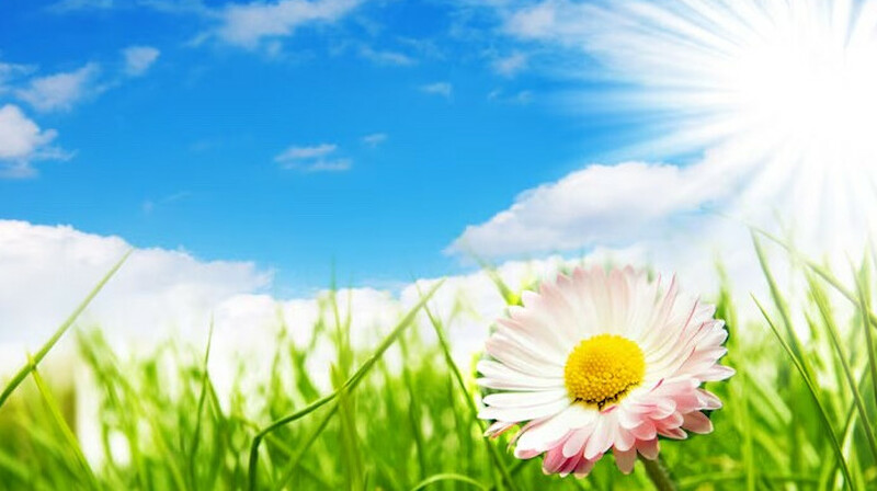 “40-44 градус”: 17 маусымға арналған ауа райы болжамы