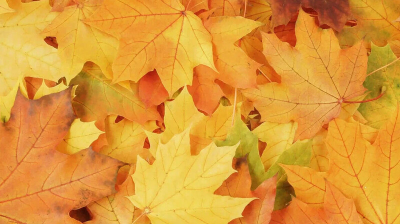 Қазақстанның 15 өңірінде күн райына байланысты ескерту жарияланды