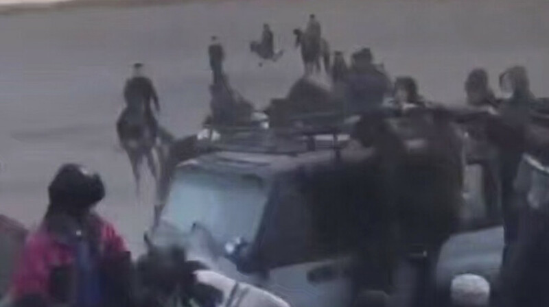 Қызылордада көкпар кезінде көлік жылқыларды қағып кетті