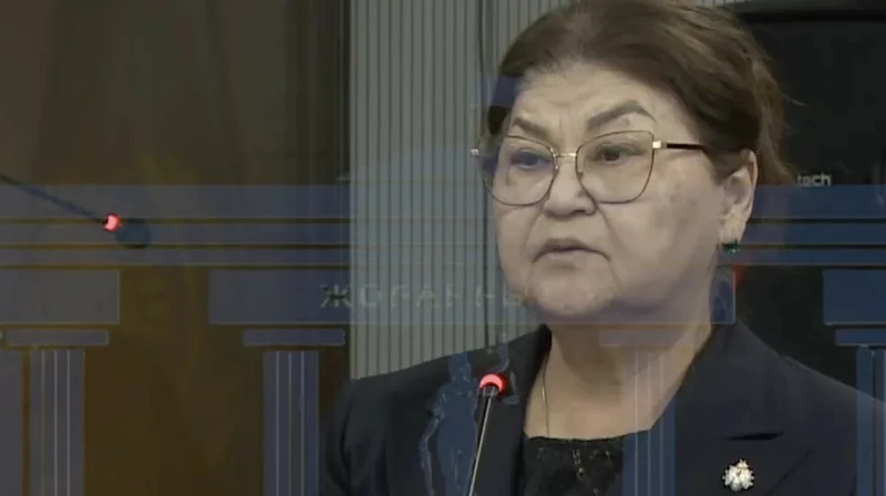 Бишімбаевтың анасы миллион долларды қайдан алғанын айтты