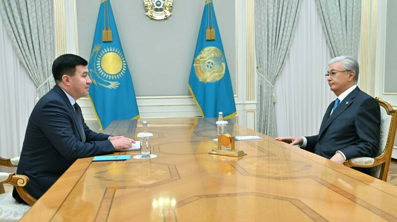 Президент «Бағанашыл» балалар үйін 5 млрд теңгеге жөндеп беретін кәсіпкерді қабылдады