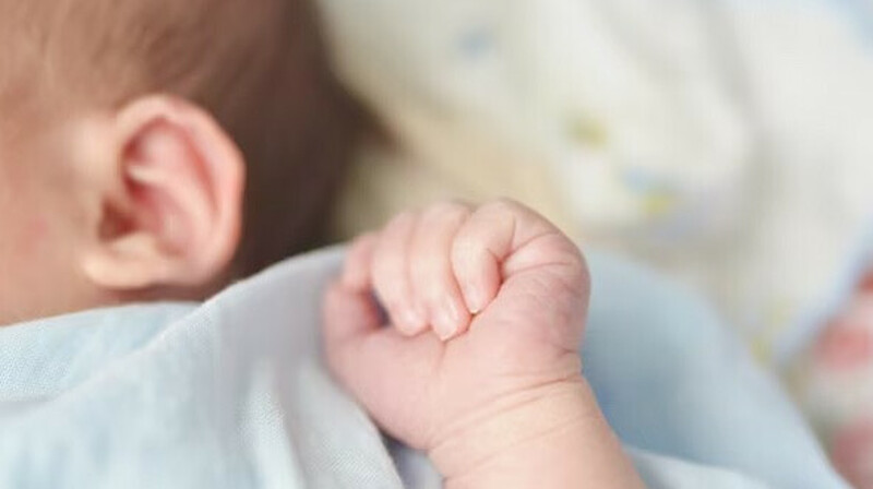 Жамбыл облысында сәби өлімінен кейін қызметтік тексеру басталды