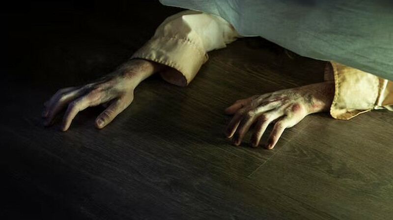 26 жастағы келіншекті 25 рет пышақтап өлтірген оқушы 7 жыл 6 айға сотталды