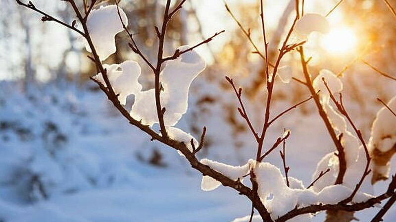 Синоптиктер: Аязды күндер жақындап келеді