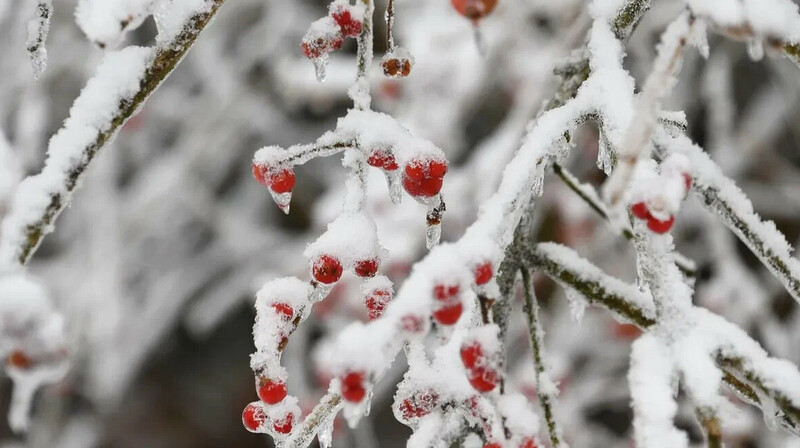 Елімізде алдағы күндері  күн күрт суиды