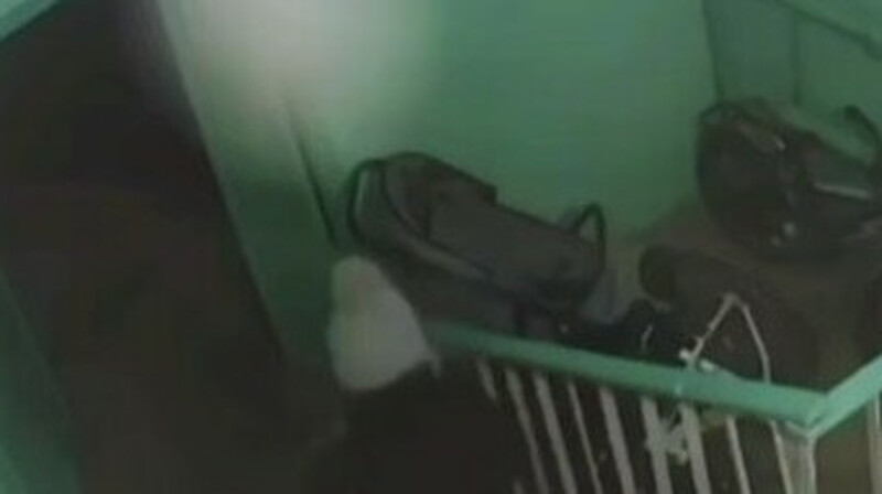 Астанада жасөспірім тұрғын үй кіреберісіндегі балалар арбасын өртеді