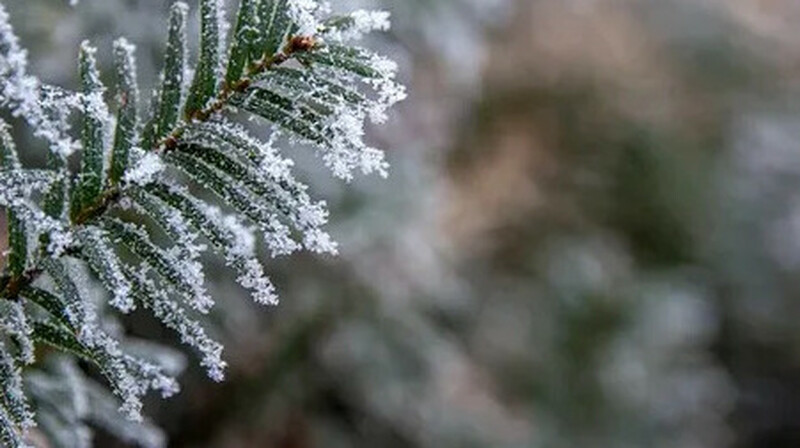 Қар. Көктайғақ. Боран: Елімізде ауа райы күрт суытады