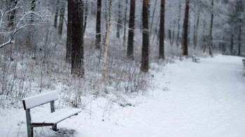 Бүгін Қазақстан мегаполистерінің бірінде қар жауады