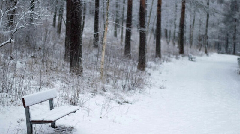 Бүгін Қазақстан мегаполистерінің бірінде қар жауады