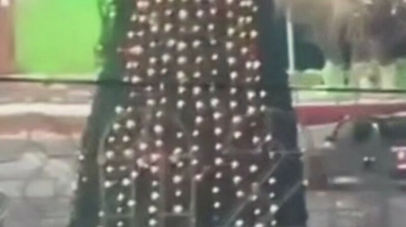 Түркістан облысында жеңіл көлік алаңдағы бас шыршаға соғылды