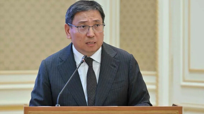 Досаеваның жұбайы бір жылда 2,3 млрд теңге тапқан