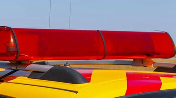 Петропавл қаласындағы орманда 18 жастағы жігіт суыққа үсіп қайтыс болды