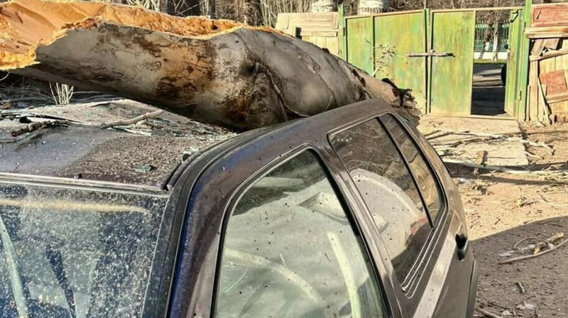 Жамбыл облысында қатты желден жарық пен газ өшіп қалған