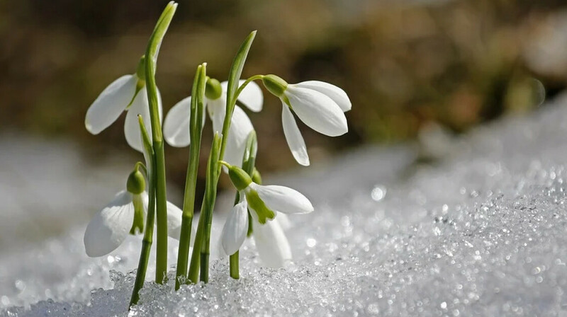 Елде қайтадан күн суытады