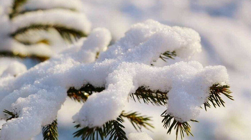 Қазақстанда күн күрт суытады