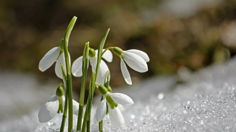 9 наурызға арналған ауа райы болжамы