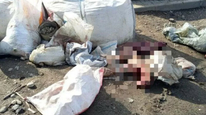 Алматыдағы қоқыс алаңынан  сегіз иттің өлексесі табылды