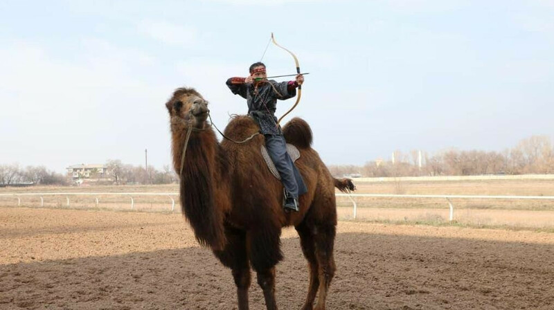 Алматыда түйе үстінде әлемдік рекорд орнатылды