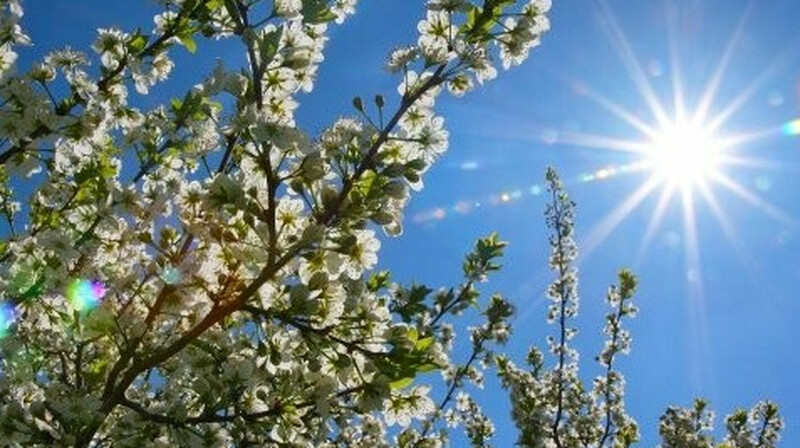 3 күнге арналған ауа райы болжамы