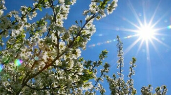 Дауылды ескерту: Еліміздің бірқатар аймағында ауа райы қолайсыз болуы мүмкін