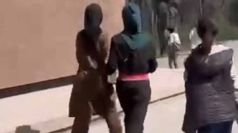 Алматыдағы саябақта бір топ жасөспірім қыз тұрғындарға шабуыл жасаған