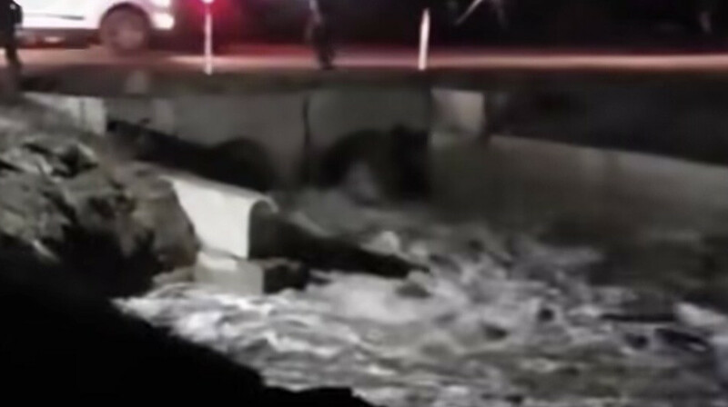 Ақмола облысында бөгет жарылды