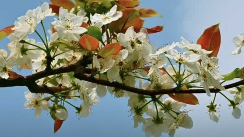 Шығыста ауа температурасы -18 градусқа дейін төмендейді