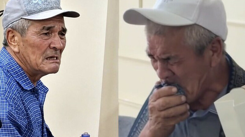 100 жылқы дауы: Мал дәрігері маңызды мәлімдеме жасады