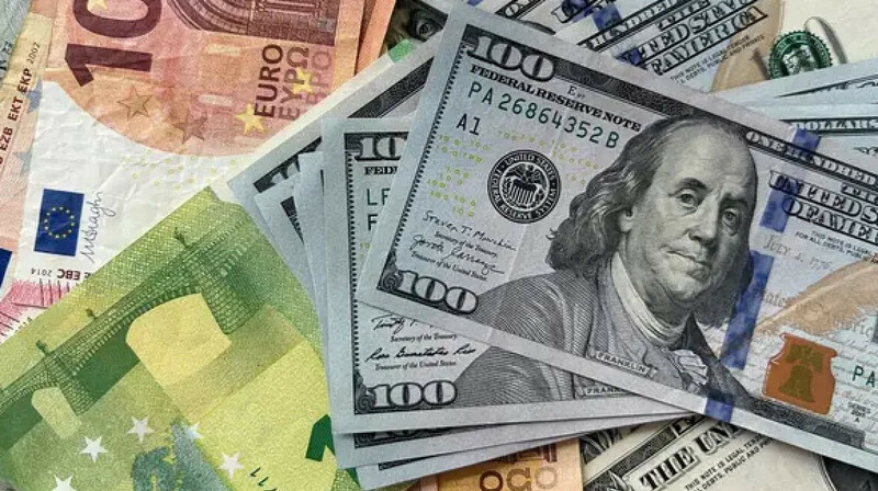 Елордада сүрленген ет сатуды желеу етіп, алаяқтық жасаған кәсіпкер сотталды